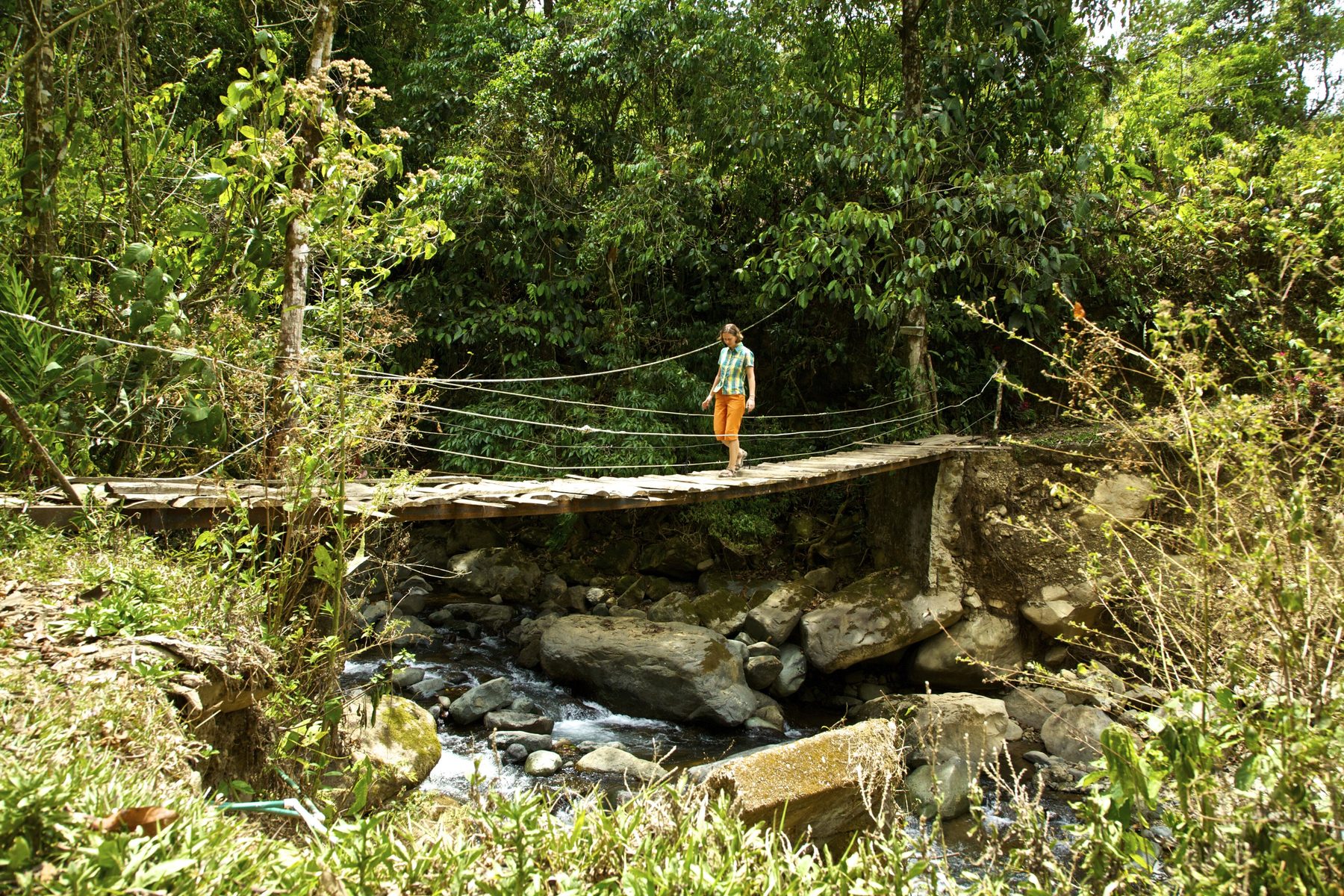 Réserve Los Campesinos — excursion guidée en français au Costa Rica