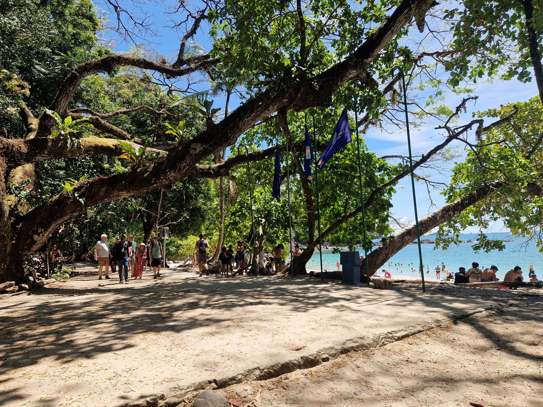 Parc national Manuel Antonio : le guide complet 2026