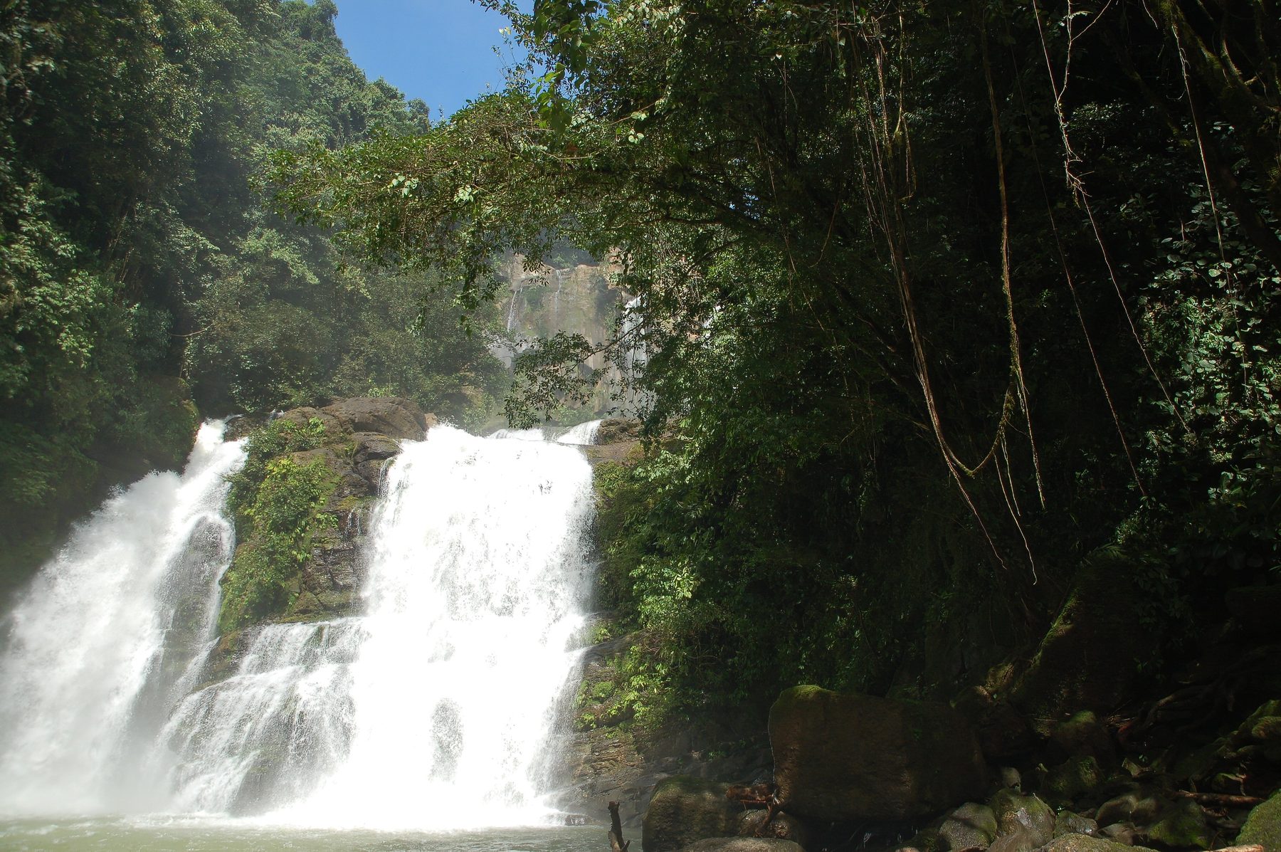 Photo de faune et de nature prise lors de nos excursions au Costa Rica