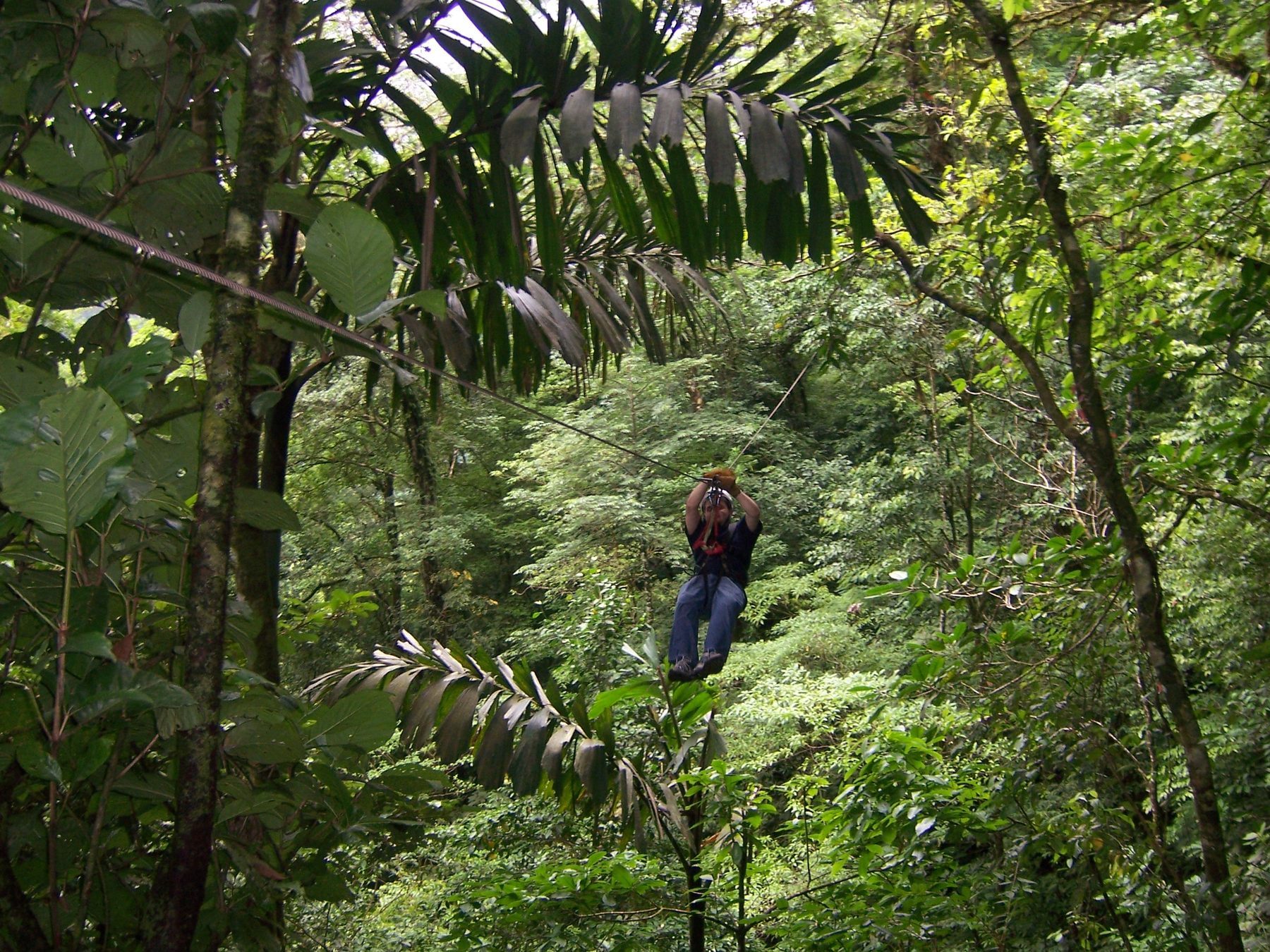 Tyrolienne au-dessus de la canopée tropicale de Manuel Antonio